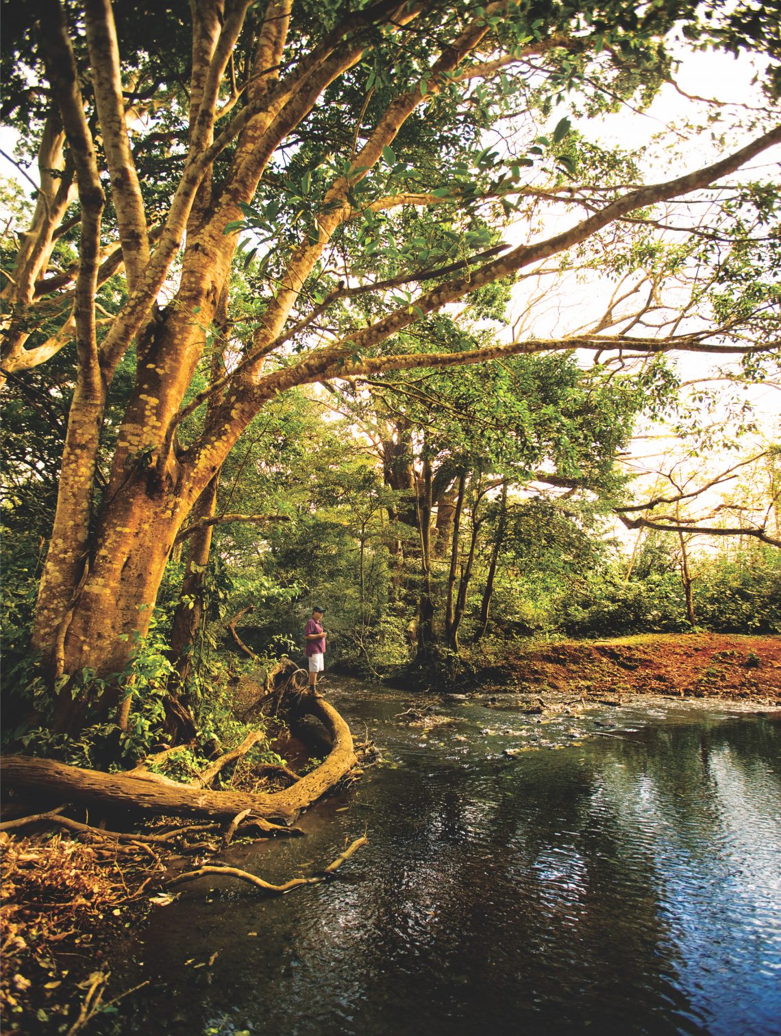 Orosi Volcano, Costa Rica, Paul Theroux, Jungle, River, Allen Kennedy
